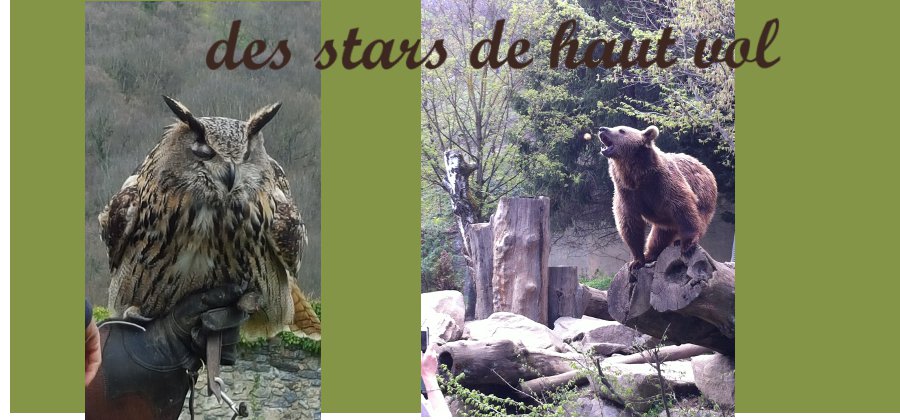 Donjon des Aigles & Parc Animalier